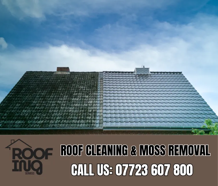Roof Cleaning in Exeter